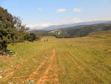 Θεσσαλονίκη: Άνδρας βρέθηκε απαγχονισμένος σε χωράφι